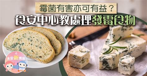 發霉時間|【食安新焦點】霉菌有害亦可有益？ 食安中心教處理。